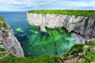 Flamborough Cliffs (credit: George Stoyle)