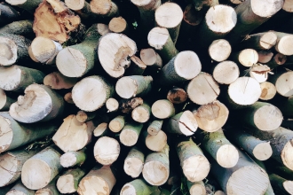 Logs at Beeston