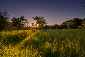 Sunlight over Askham Bog