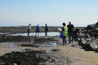 Beach Clean Scarborough
