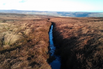 Gully on peatland