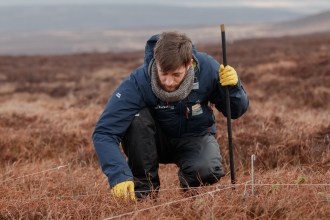 Peatland Restoration Officer planting sphagnum