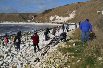 WoW Beach Clean South Landing