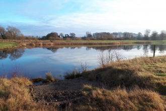 View over Ripon City Wetlands