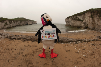 Puffin at Yorkshire Puffin Festival