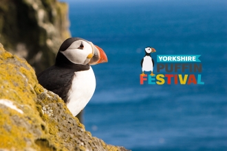 Yorkshire puffin with logo