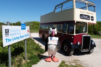 Schools Puffin Festival bus