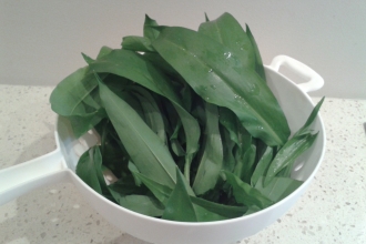 Bowl of wild leaves - credit unknown