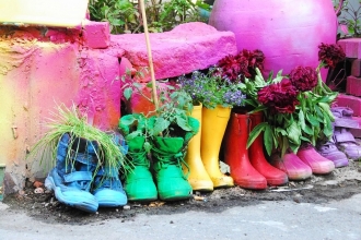 Rainbow welly planters