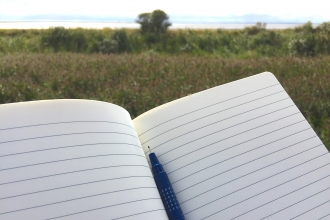 Poetry and Spurn