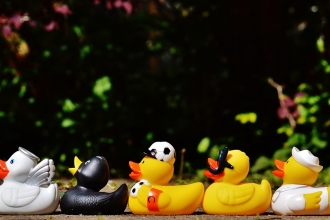 Rubber ducks