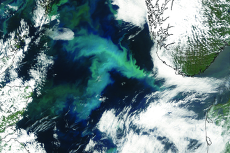 Nasa Earth Observatory image of a phytoplankton bloom in the North Sea