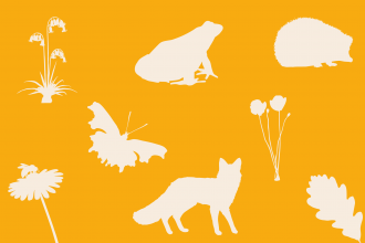 Silhouettes of garden animals