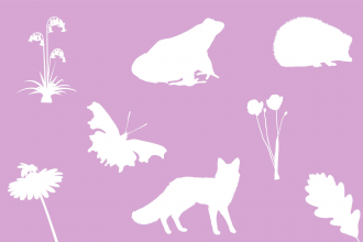 Wildlife silhouettes pink