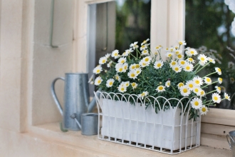 Window flower box