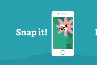 Spot it snap it record it icon