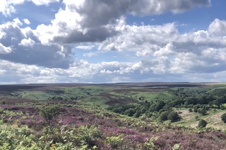 Fylingdale moor