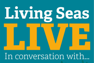 Living Seas live square