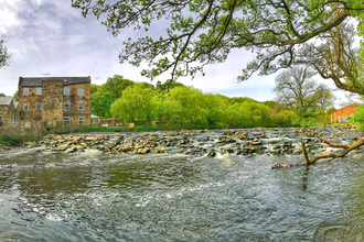 River with trees and old buildings in the background