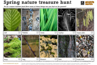 Spring nature treasure hunt