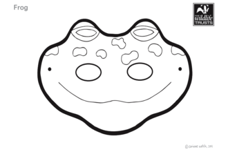 Frog mask cutout