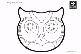 Owl mask cutout
