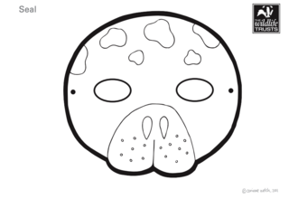Seal mask cutout