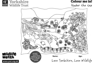 Sea scenes colouring in sheet