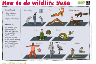 Wildlife yoga sheet