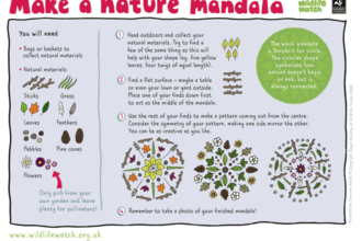 Make a nature mandala