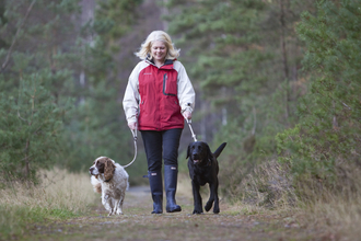 walking dogs in the countryside