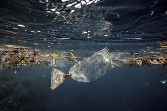 Plastic bag drifting underwater 