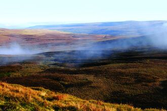 Moorland habitats - Buckden pike - Credit Gordon Haycock