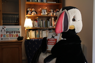 Our puffin mascot, Cliff reading a bedtime story at home