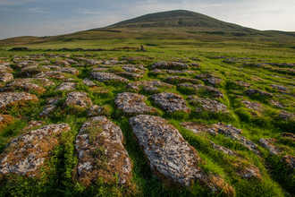 Limestone pavement (Wild Ingleborough)