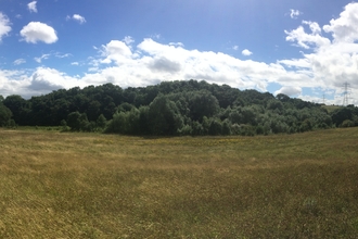 Brockadale meadow panorama