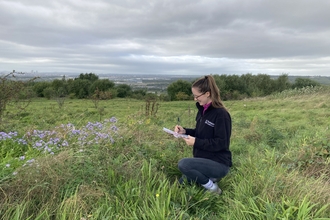 Anna is kneeling in a meadow surveying the species