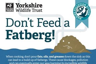 Fatberg crop