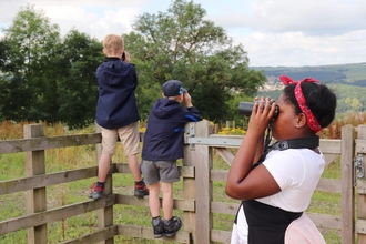 children bird watching 