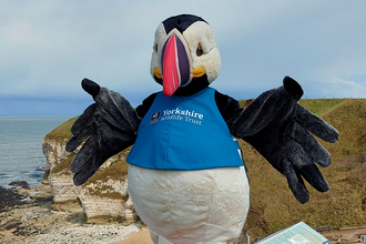 Our puffin mascot, Cliff on top of a cliff.