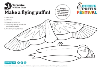 Our downloadable paper cut out flying puffin from our Puffin Protector Pack