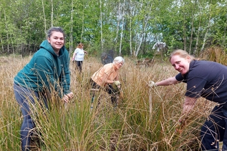 Volunteers removing soft rush from a pond