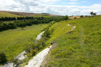 View of Kiplingcotes Chalk Pit nature reserve