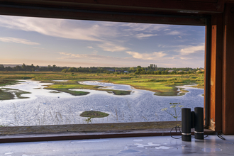 View of wetlands from hide with binoculars in foreground