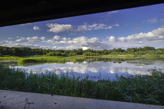 A view of a wetland at Potteric Carr Nature Reserve.