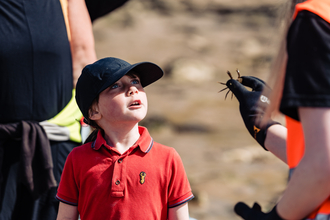 Image of child looking up in wonder at a small crab