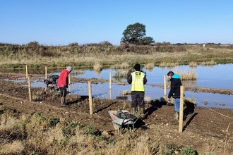 Volunteers planting reeds at North Cave Wetlands - Photo by Paul Wray