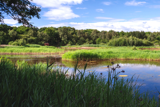 A sunny view of Potteric Carr nature reserve. Blue skies and green grass.