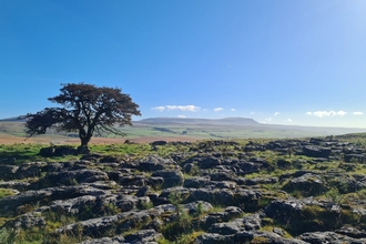 A landscape photograph of Ashes Shaw. Image by Liz Coates.