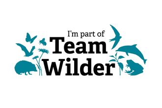 I'm part of Team Wilder logo